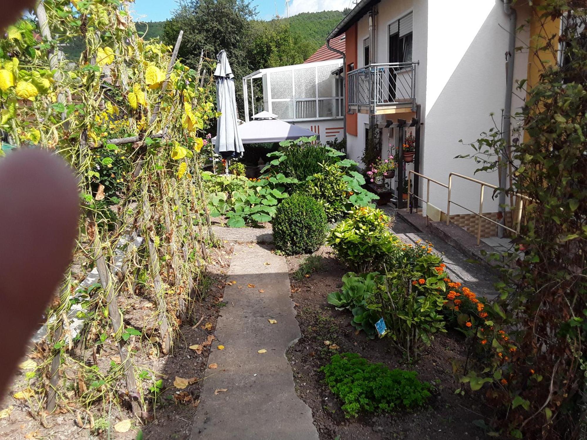 Apartment Haus Kallin